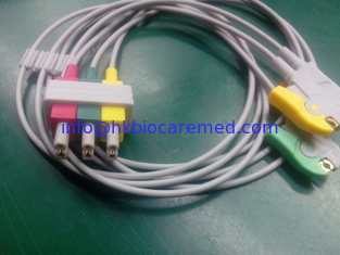 Chine compatible 3 mènent le fil d'ecg, l'extrémité d'agrafe, le CEI, M1613A fournisseur