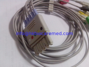 Chine compatible 5 mènent le fil de connexion d'ECG avec l'extrémité d'agrafe, le CEI, M1971A fournisseur