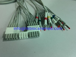 Chine Fils compatibles du câble 10 d'électrocardiogramme de Mortara pour la mémoire à accès direct par fenêtre de Mortara, extrémité de banane fournisseur